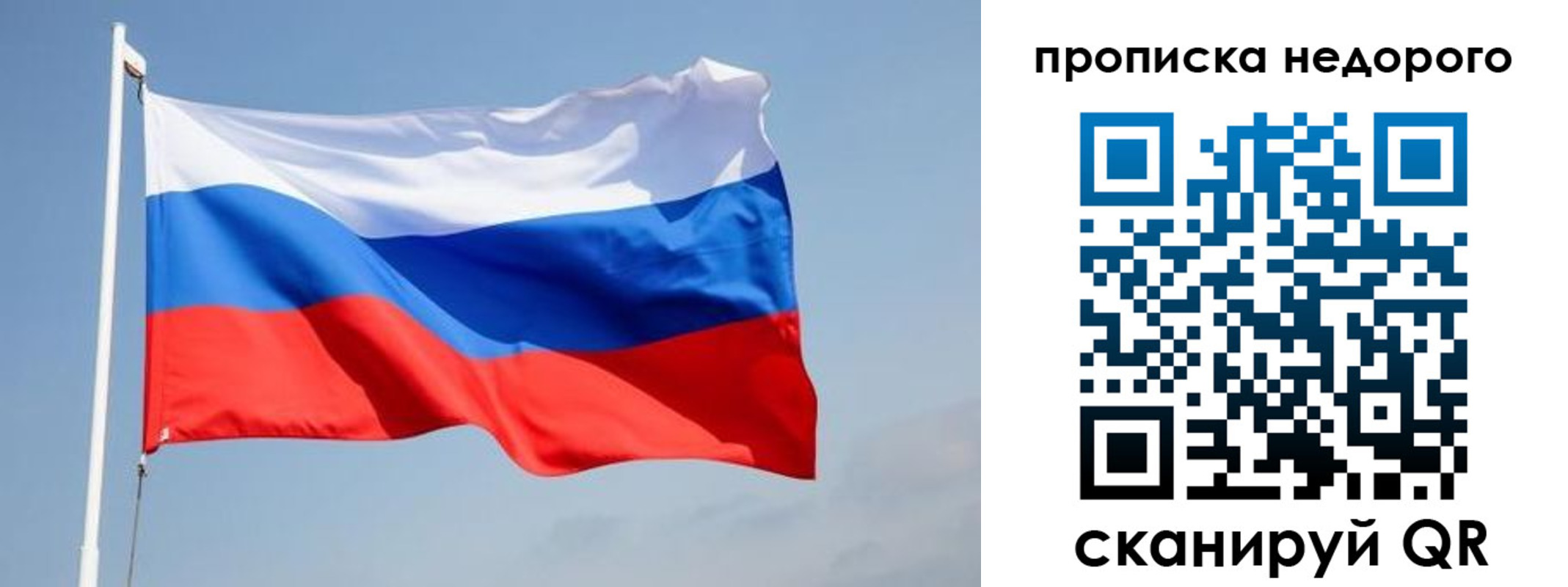 где прописаться в Ленинградской области